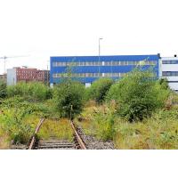 7135 Verwaltungsgebäude - Lagergebäude mit Gleisanschluss - mit Wildkraut und jungen Bäumen  | 